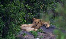 在那一瞬间_150字