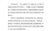 读《触摸春天》读后感_200字