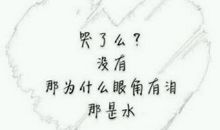 寂寞星球的玫瑰_300字