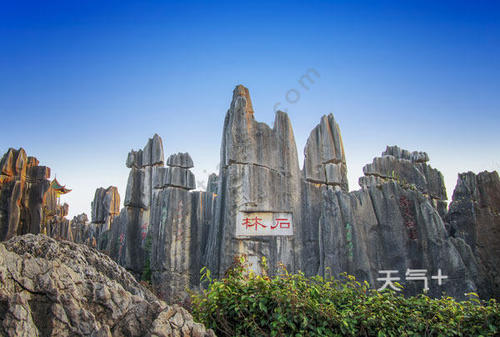 王悦_50字