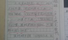 高三期末考试作文：大树与小草_800字