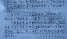 高三写人作文：贝贝_1500字