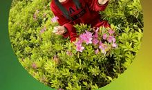 清香，终会袅袅_150字