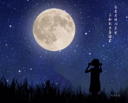 漫长的夜晚，星空_200字