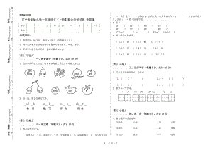 小猫学习技巧_100字