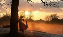 偶然的相遇_150字