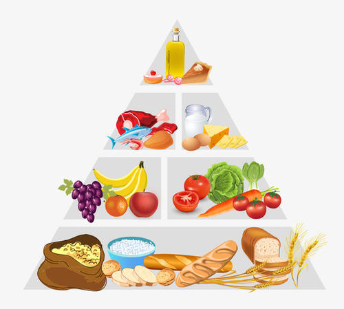 美丽的食物_700字