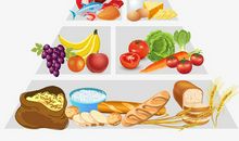 美丽的食物_700字