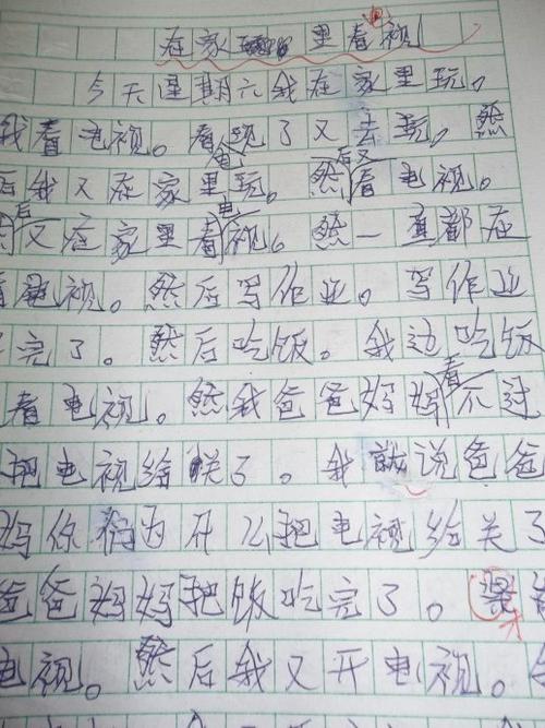 我的级武术大师_800字