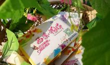 春天的礼物_200字