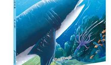 动物的启发_450字