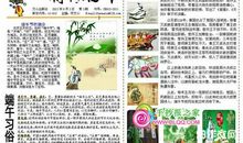 难忘的端午节_600字