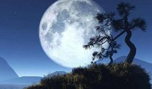 月到中秋分外明_350字