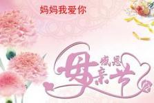 愿，母亲节_150字
