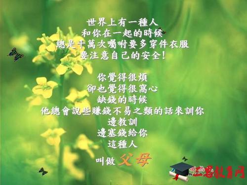 友谊是无处不在的_300字