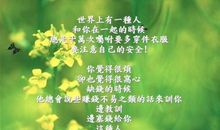 友谊无处不在_300字