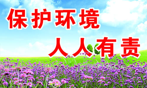 保护环境保护到每个人 -  300字