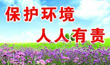 保护环境 人人有责_300字