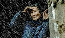 爸爸快回来吧_150字