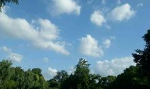 白云飘呀飘_600字