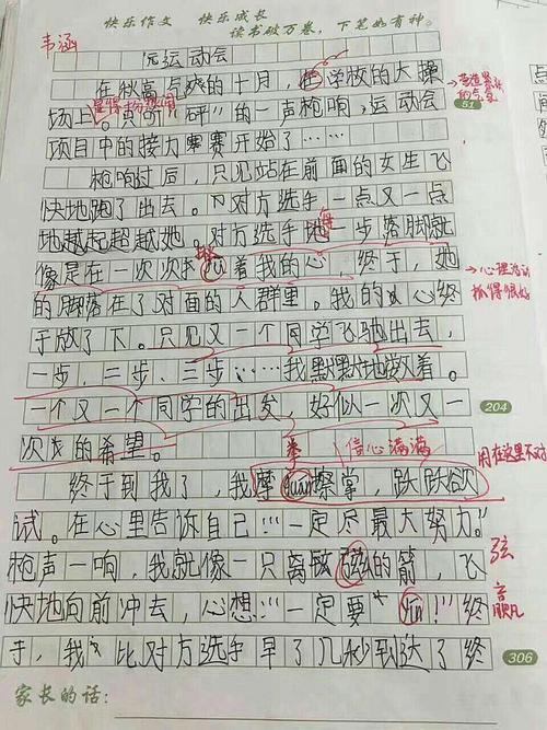 快乐的一年_100字