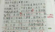 快乐的一年_100字