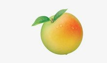 游览桃子城_400字