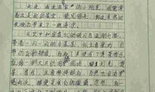 夏天的夜晚_250字