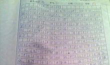 童心是小鸟_500字