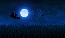 星空下的月夜_200字