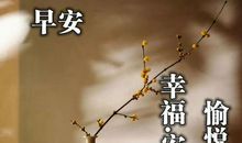 命的问候_1200字