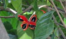 四季歌——春_3000字