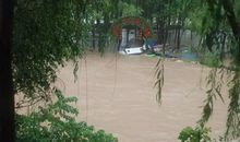 让灾害远离我们吧_1200字