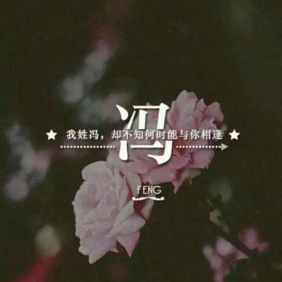 谢谢你，冯先生_450字