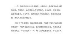 我希望的泉城_500字