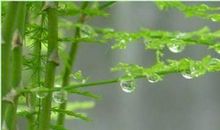 雨夜感怀_1200字