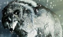 《雪虎》读后感_1200字