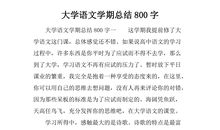 个人总结_800字