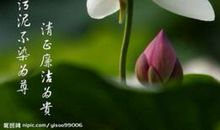 生命的真谛_300字