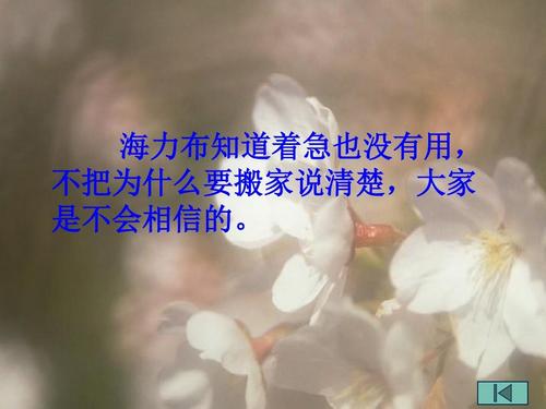 “猎人海乐”Sypex_400字