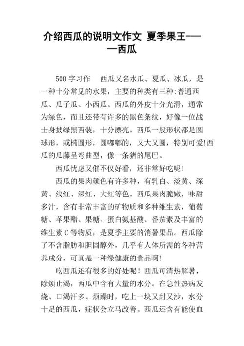 天堂的明星_500字