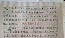 关于雨的作文：情系春雨_900字