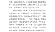 关于雨的作文：另一种美_900字