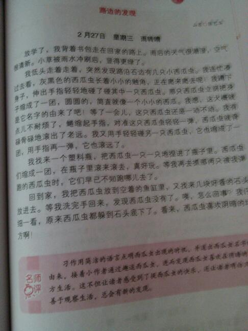 在雨上的组成：夏天雨_400字