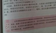 关于雨的作文：夏天的雨_400字