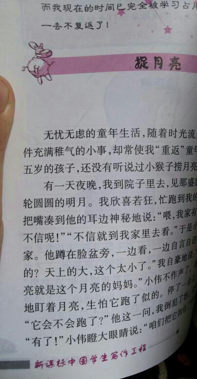 雨上的组成：v_650字