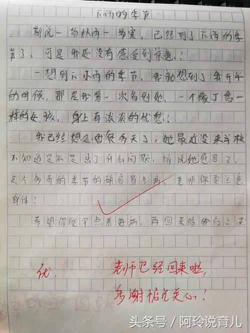 雨上的组成：大雨下_500字