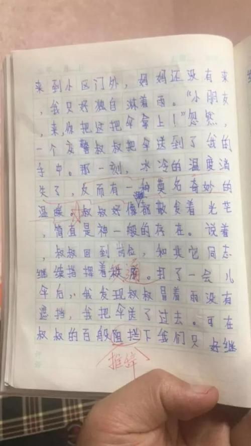 雨上的组成：雨_600字