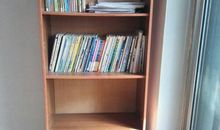 我有一个精致的书橱_200字