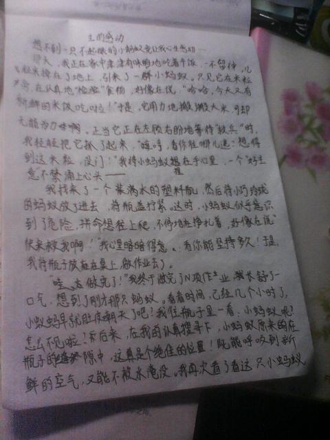 在雨上的组成：等待雨（九）_500字